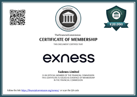 The Future of Trading Excard Exness Unveiled